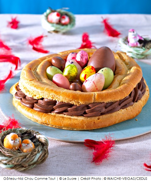 gateau_nid_chou_comme_tout_