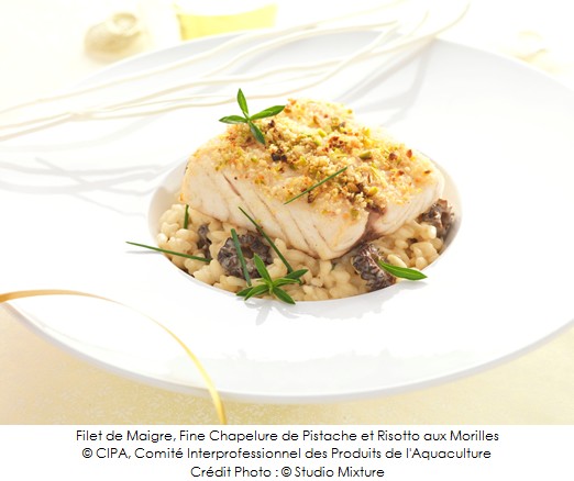 filet_de_maigre_fine_chapelure_de_pistache_et_risotto_aux_morilles_