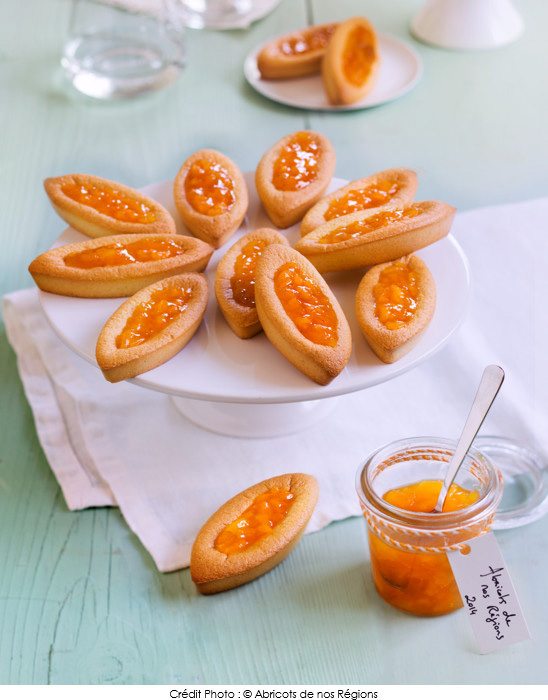 barquettes_a_la_confiture_d_abricots_de_nos_regions_et_au_gingembre