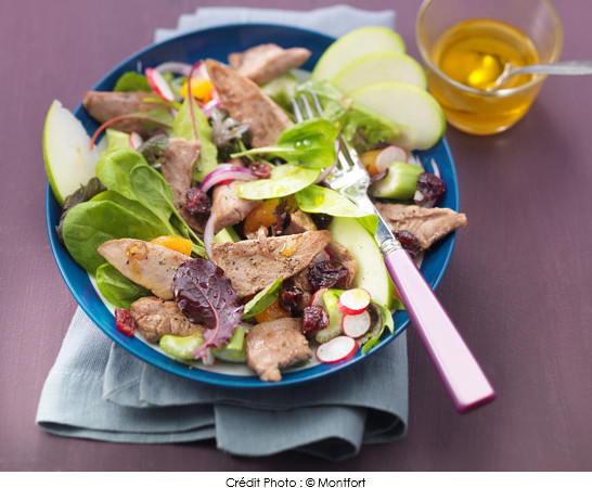 salade_d_aiguillettes_de_canard_montfort_pomme_verte_et_cranberries
