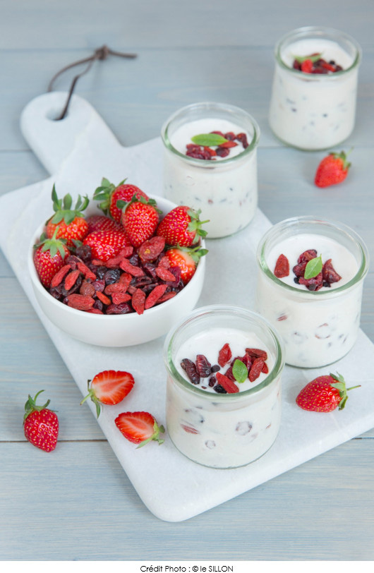 glace_au_yaourt_et_mix_superfruits_le_sillon