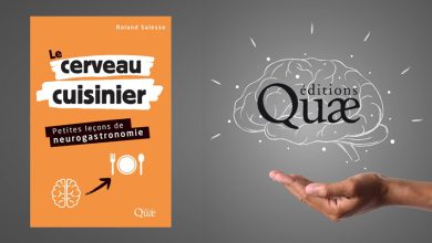 Le cerveau cuisinier - Roland Salesse