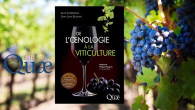 De l’œnologie à la viticulture