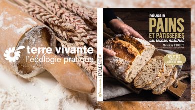 Réussir pains et pâtisseries au levain naturel