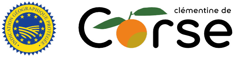Clémentine de Corse IGP