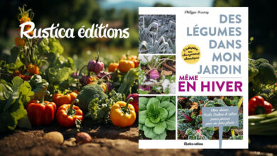 Des légumes mon jardin en hiver
