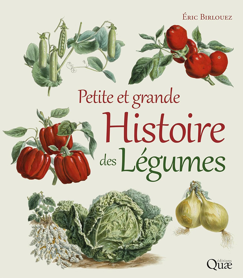 Petite grande histoire des légumes