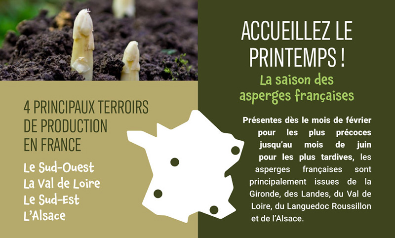 Accueillez le printemps 