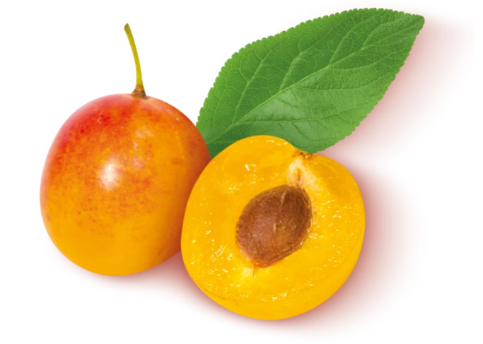 Mirabelles de Lorraine