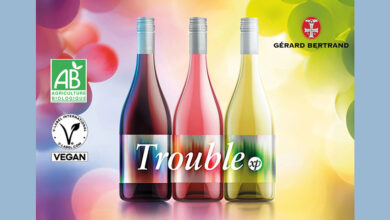 Vins Trouble xp
