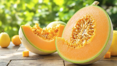 Melon, fruit délicieux rafraîchissant