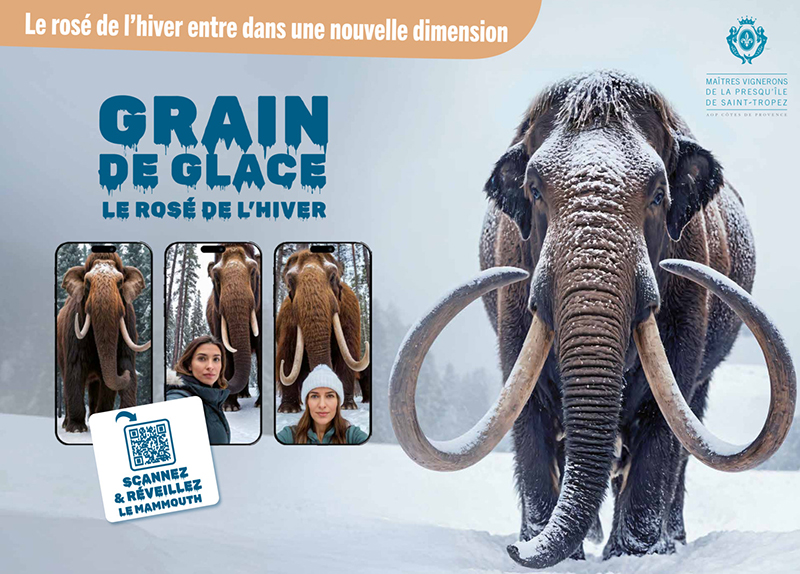 GRAIN DE GLACE