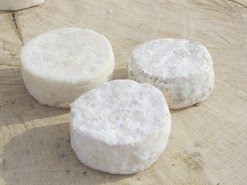 Rigotte de Condrieu