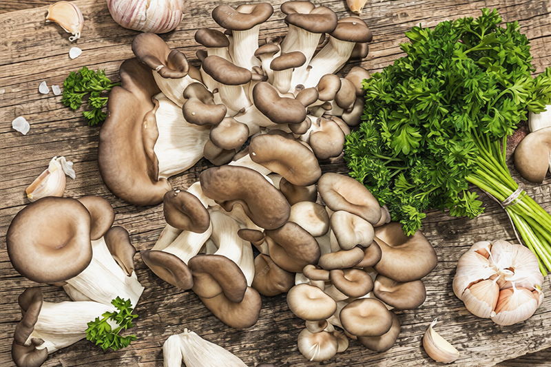 Champignons recettes pour chaque moment