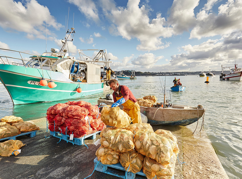 Fête de la Coquille Saint-Jacques
