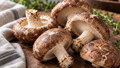 Shiitakes frais entiers